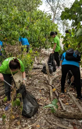 Volunteers collecting waste along a shoreline